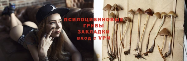 герыч Алзамай